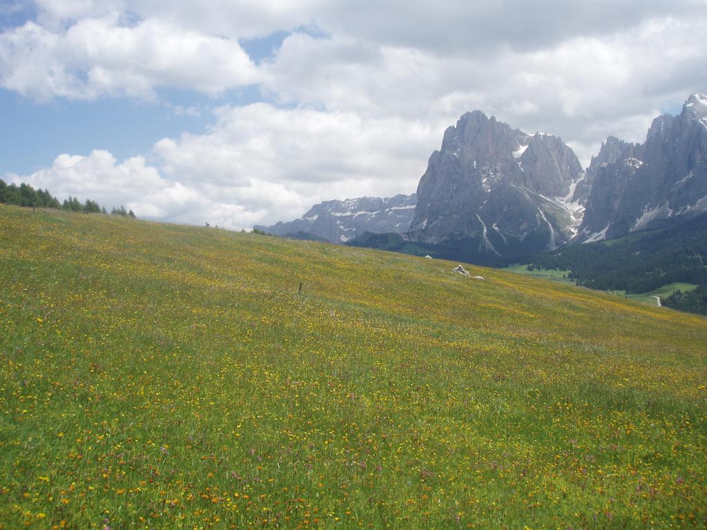 Garni La Majon Otel Selva di Val Gardena Dış mekan fotoğraf