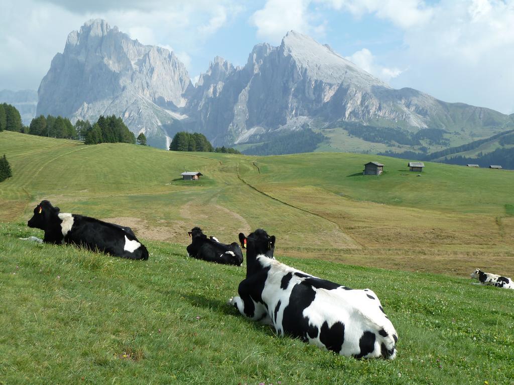 Garni La Majon Otel Selva di Val Gardena Dış mekan fotoğraf